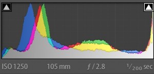 Clipped Histogram of Danielle Libatique by Greenville portrait and commercial photographer Forrest Briggs