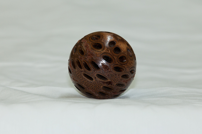 Banksia pod ball Commercial and product photography by Forrest Briggs photography