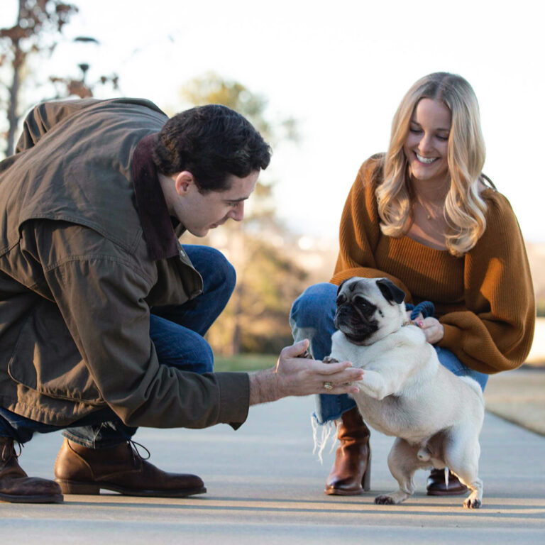 Dog photographer Greenville SC